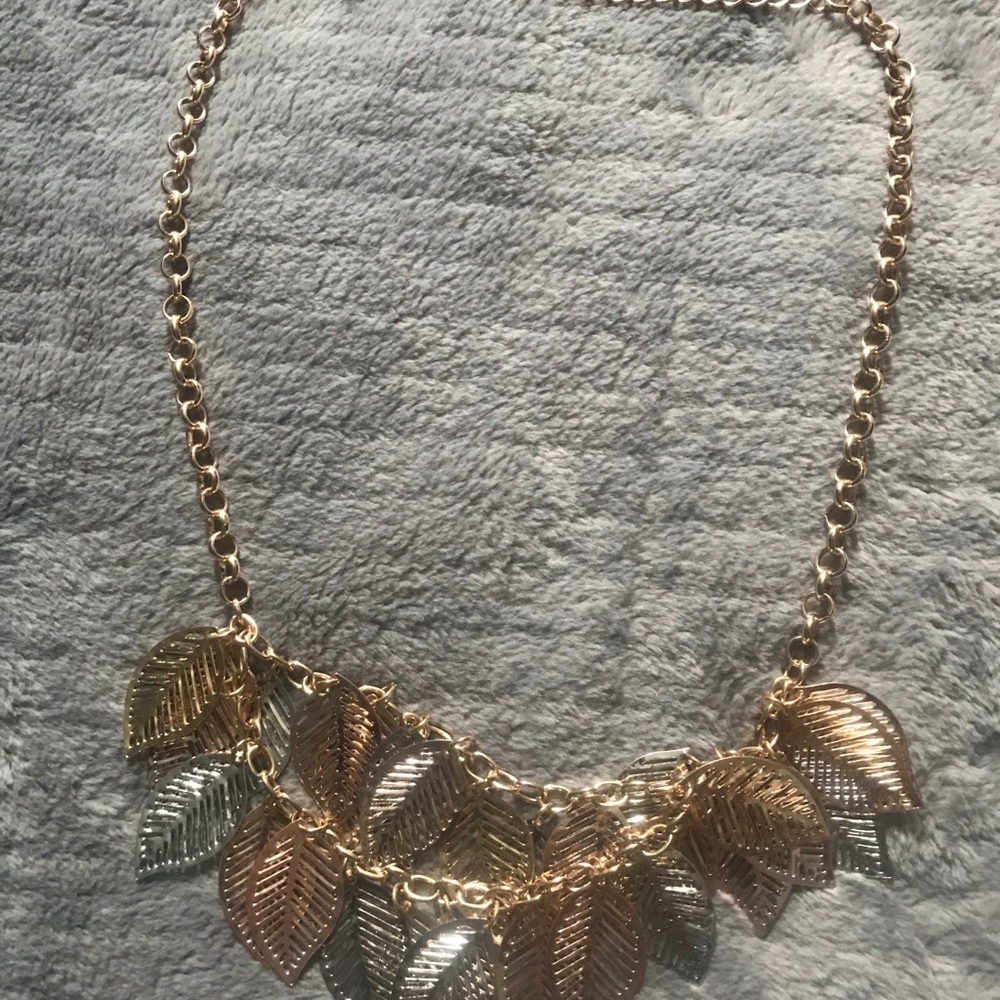 2 necklaces NWOT
